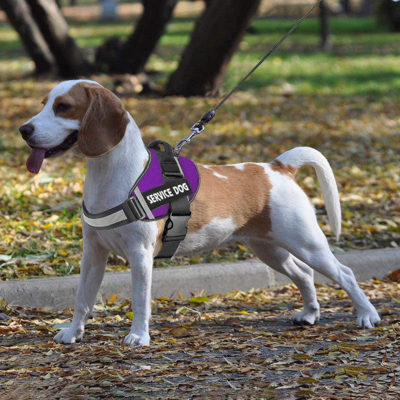 JSXD Dog Harness,No-Pull Service Dog Harness with Handle Adjustable Outdoor Pet Dog Vest 3M Reflective Nylon Material Vest for Breeds,Easy Control for Small Medium Large Dogs M Purple - PawsPlanet Australia