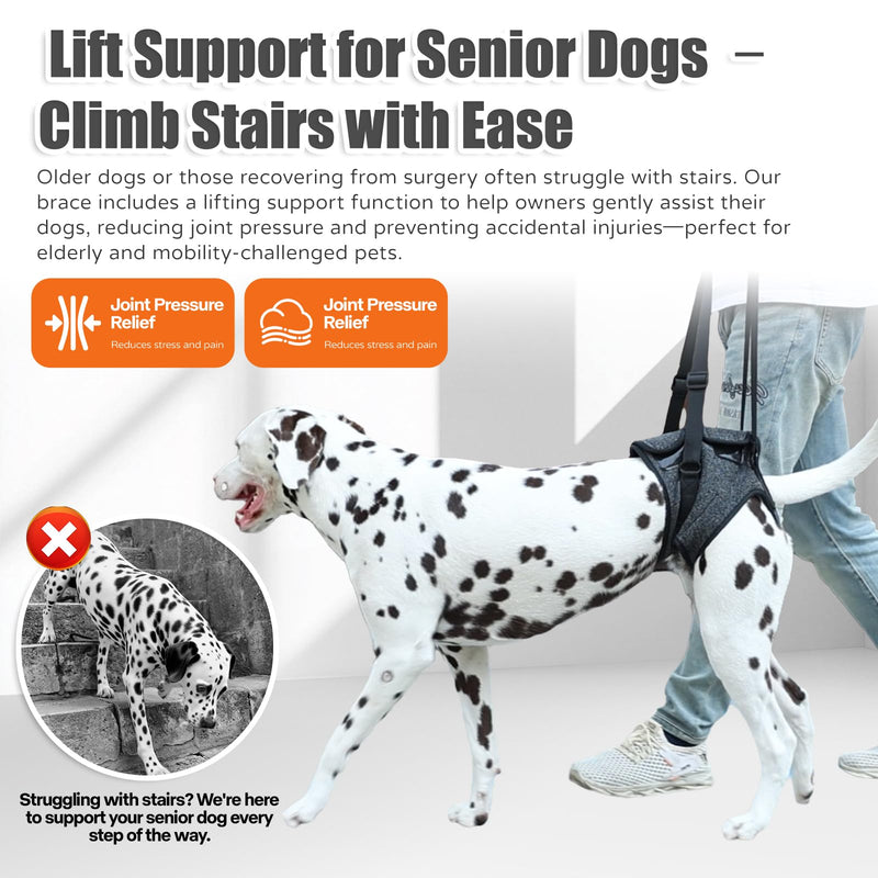 Dog Sling for Medium Large Dog Rear Leg, Lift Harness Provide Support with Muscle Atrophy and Joint Problems for Elderly Injured Arthritic Pet, Dog Weak Rear Legs Provides Rehabilitation Aid L-Waist(20"-25") Dark Grey - PawsPlanet Australia