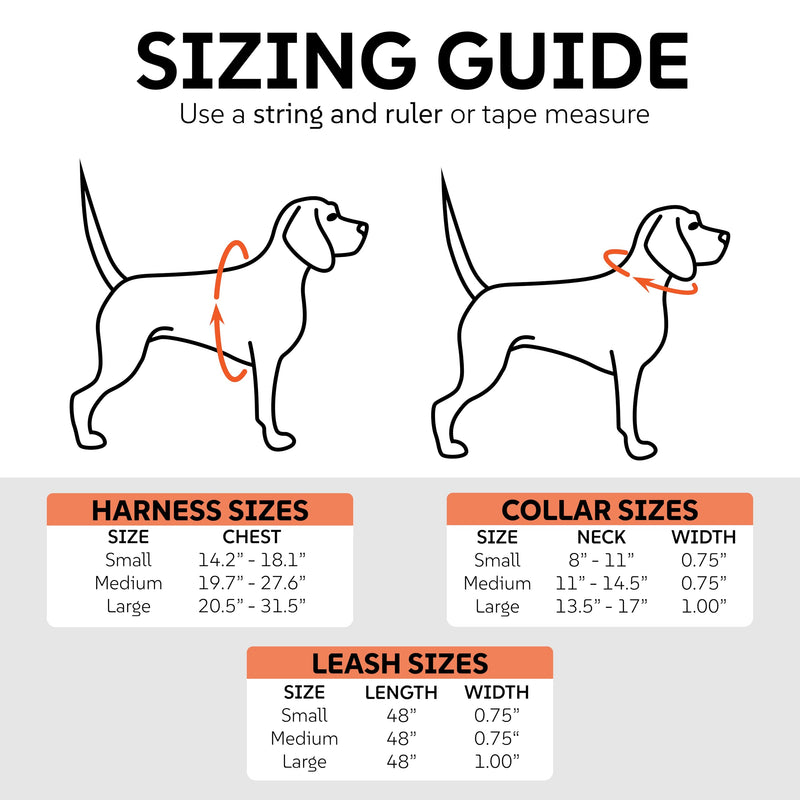 Dog Harness, Collar & Leash Set – Adjustable No Pull Harness with 3 Leash Clips, Waterproof Matching Collar & Leash, Breathable Comfort (Blue, Small) Blue - PawsPlanet Australia