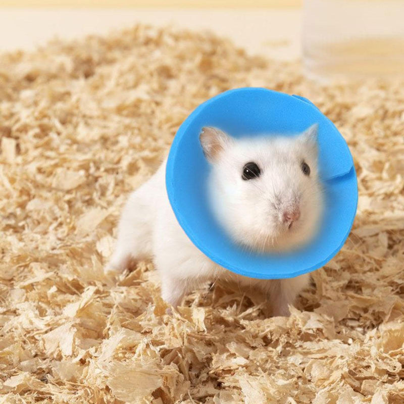 Bird cone collar, bird protection collar for parakeets, comfortable neckwear for mice, daily cat training, travel, ferrets, wound protection, lick prevention (blue)