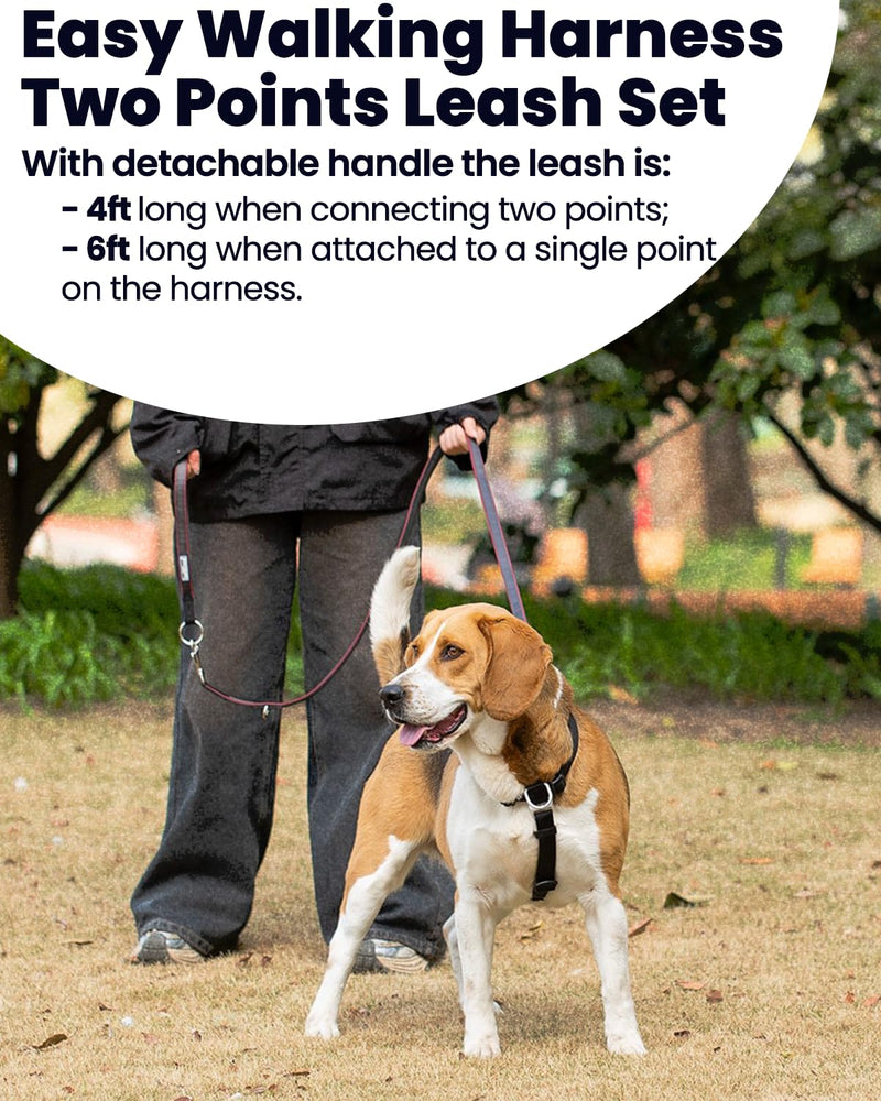 No Pull Dog Harness with Two Points Control Leash Set, Neck Buckle, Aluminum D-Rings, 6 Points Adjustment, Easy Walking and Training, Leash with 2 Clips (Harness-Leash Set, L) - PawsPlanet Australia