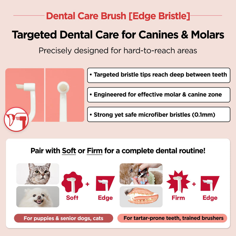 JAYU PET Dental Care Brush (Edge Bristles) 1ea - Micro Round Head Dog Toothbrush, Cat Toothbrush, Dental Care, Perfect for Kitten & Small Breed with End-tuft Diagonal-Shaped Bristle & Easy Grip Handle Edge Bristles 1 Count (Pack of 1) - PawsPlanet Australia