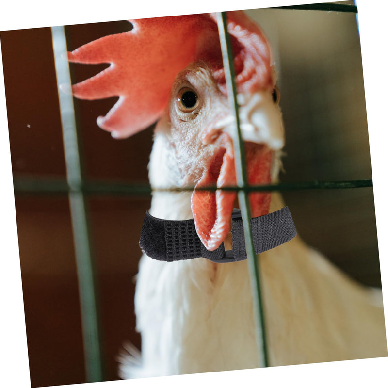 4pcs Neck Pet Collar Nylon Chicken Collar Rooster Neck Collar No Crow Rooster Band -Noise Collars Nylon Roosters Collars Noise Rooster Collar Poultry 2 Pack - PawsPlanet Australia