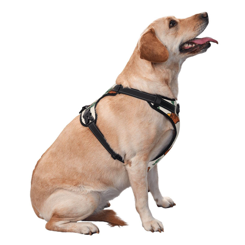 No Pull Dog Harness for Large Dogs Easy Walk Dog Vest Adjustable Collars Harnesses & Leashes Set Breathable Oxford Outdoor Walking Safety Reflective Strip Western Theme Cactus Cowboy Prints - PawsPlanet Australia