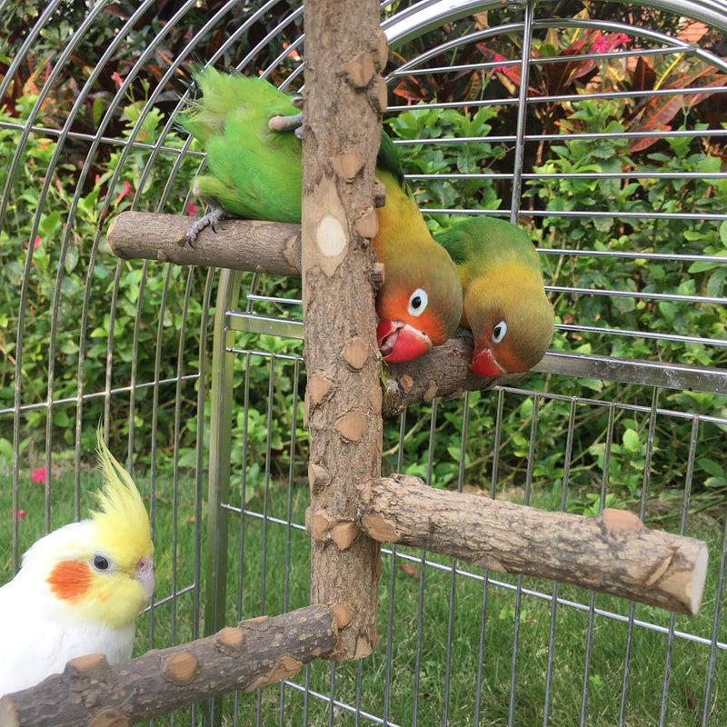 Bird Perch Nature Wood Stand for 3-4pcs Small Medium Parrots (S) S - PawsPlanet Australia