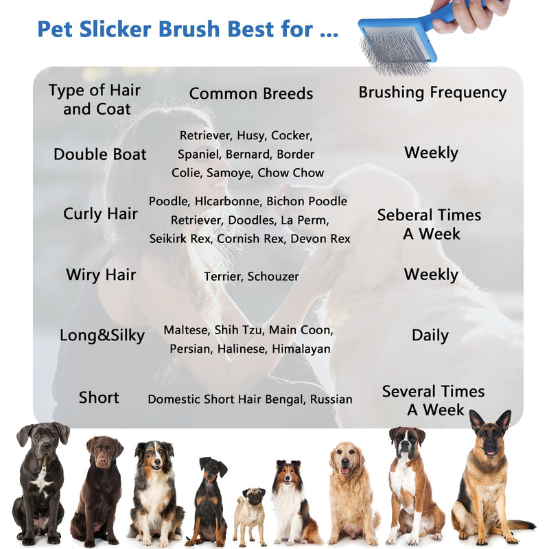 Ergonomic Slicker Brush for Long-Haired Dogs, Wooden Handle Dog Brush,Goldendoodles, Labradoodles, Poodles Long Pins for Grooming Loose Hair，Effectively Removes Tangles, Knots and Loose Fur Blue