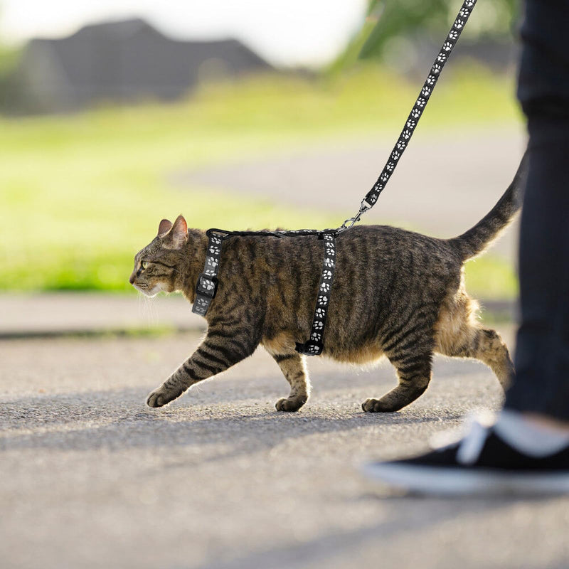 Cat Harness and Leash with Collar Set, Escape Proof Adjustable H-Shped Cat Harness Cats Belt Walking Travel Kitten Harnesss, Adjustable Kitten Harnesss for Small Medium Cats - PawsPlanet Australia