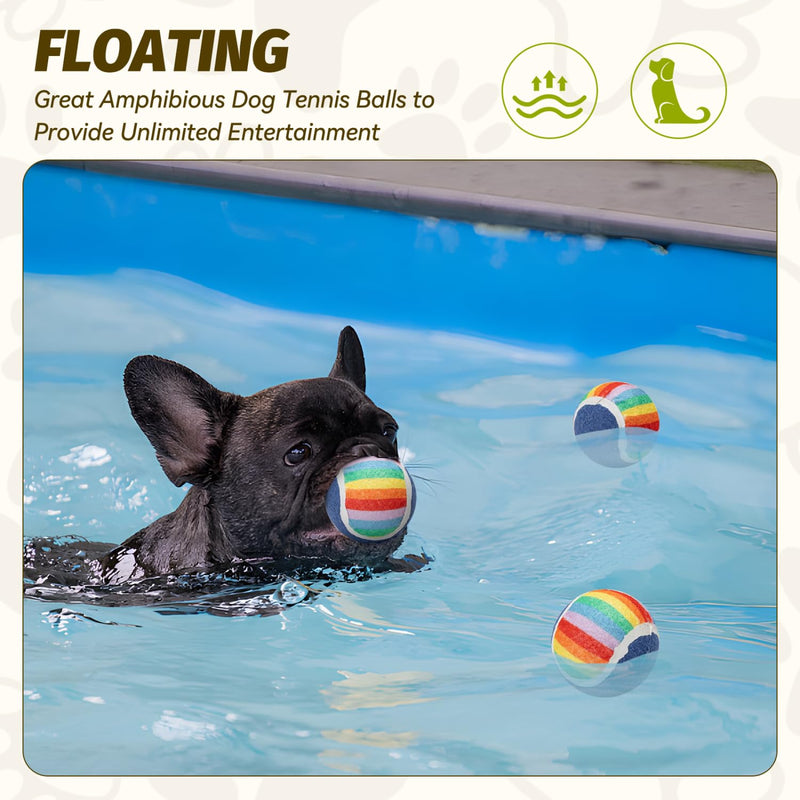 Nobleza Squeaky Tennis Balls for Dogs, 12 Pack 2.5“ Floatable Dog Tennis Balls for Small Medium Dogs, Training Safe Natural Rubber Dog Toys Balls for Dogs to Fetch Exercise, Rainbow - PawsPlanet Australia
