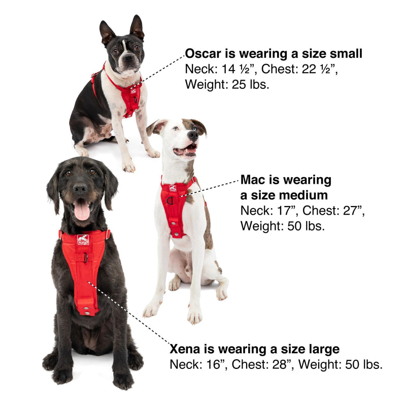 Kurgo Enhanced Strength Tru-Fit Dog Car Harness - Pet Travel Safety Harness - Crash Test Certified Fit - Five Point Adjustment - Secure Buckle - Padded Chest - Black - Small - PawsPlanet Australia