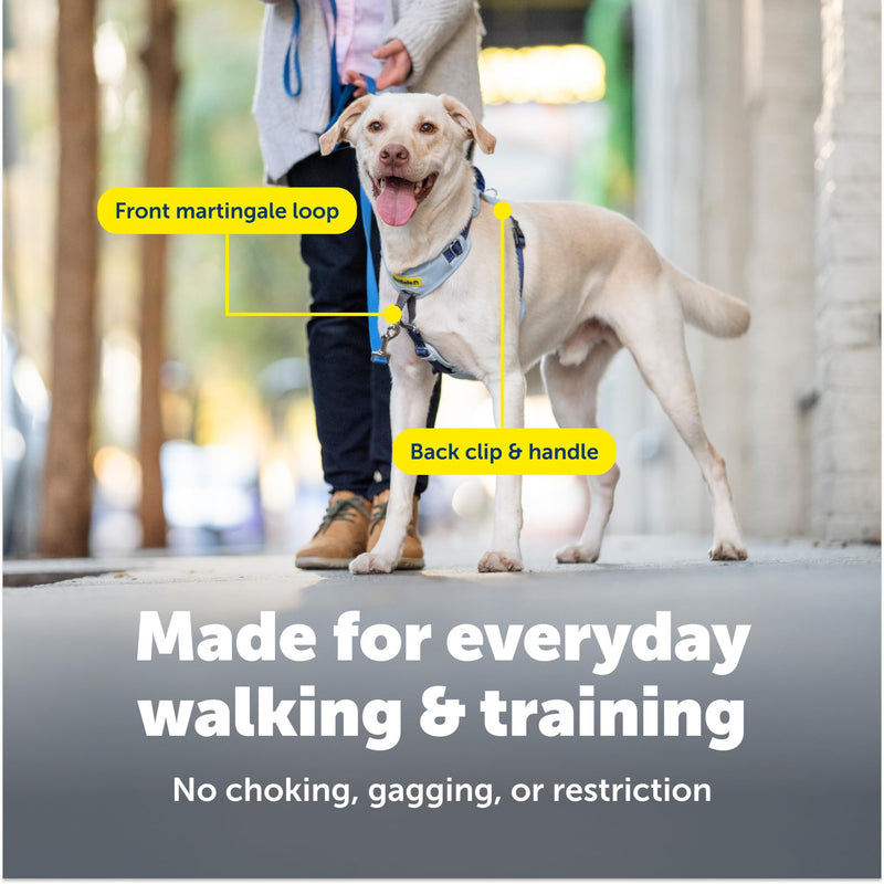 PetSafe Easy Walk Comfort No-Pull Dog Harness - Better Walk Training Harness - Full Body Padded Design - Durable Fabric - 5 Point Adjustable Fit - Everyday Leash Training - Green - Medium/Large
