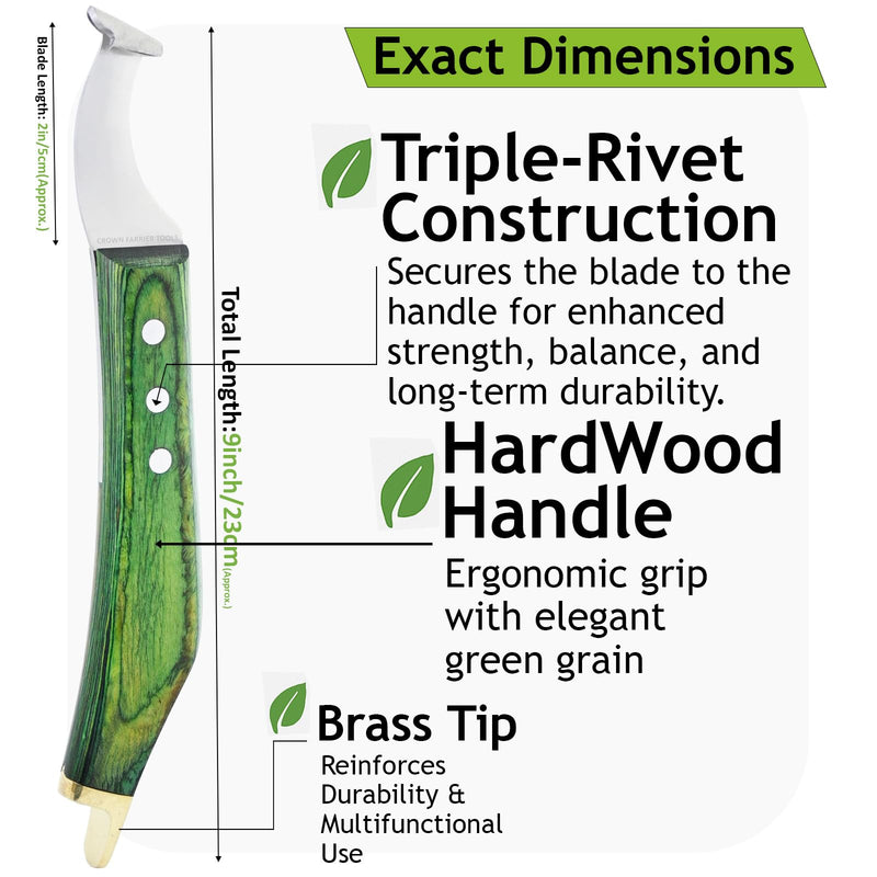 – Super Sharp Hoof Knife with Brass End | Precision-Sharpened Stainless Steel Blade & Wooden Handle | Pro Farrier Hoof Trimming Tool for Horses & Equine (Green, Left-Hand) Green