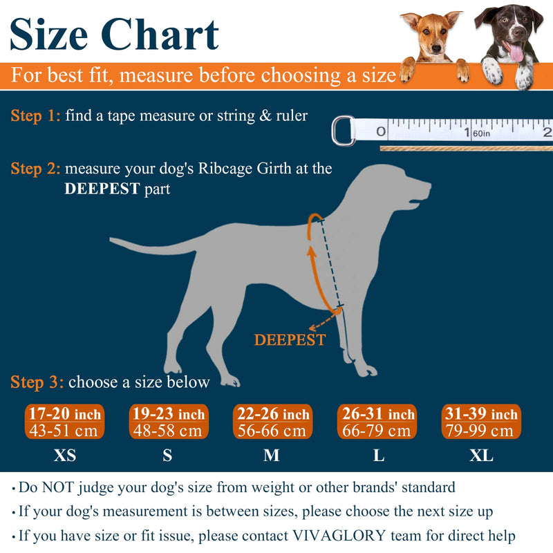 VIVAGLORY Cute Dog Life Vest, Swimming Vest with Handle, Ripstop & Buoyancy for Doggy Puppy, Dog Life Jacket for Swimming & Boating, M, Bright Orange M: 22-26 inch (Ribcage Girth) - PawsPlanet Australia