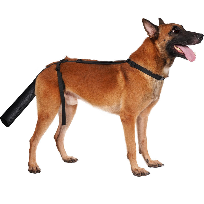 BARKLESS Dog Tail Protector, Dog Tail Guard for Medium Large Dogs, Adjustable Dog Tail Cover to Prevents Licking Wounds, Breathable Tail End Bag for Happy Tail Syndrome Recovery