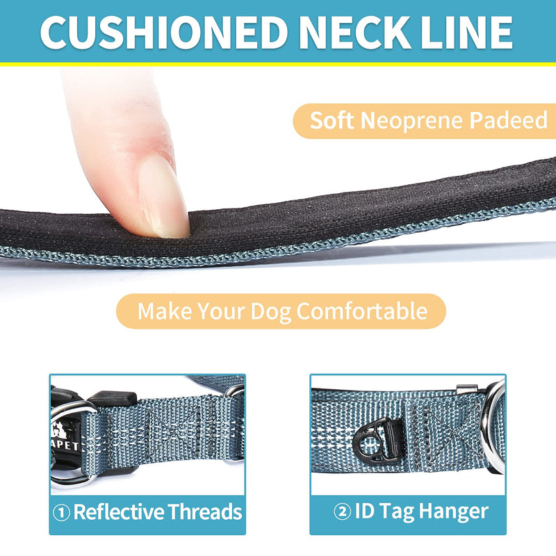BAAPET Comfortable Dog Collar with Double Security Dual D-Ring and ID Tag Hanger for Small Puppy, Medium and Large Dogs (XS - 3/4" x (9"-13"), Grey) XS - 3/4" x (9"-13") - PawsPlanet Australia