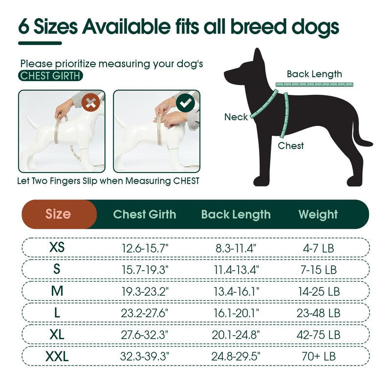 Kuoser Dog Surgery Suit Female Spay, Dog Recovery Suit Male Neuter, Dog Clothes Onesie for Surgery Anti Licking Abdominal Wounds Pet Puppy Surgical Recovery Bodysuit Shirt, Substitute E-Collar & Cone X-Large (Back:20.1-24.8'', Weight:42-75 LB) Rose - PawsPlanet Australia