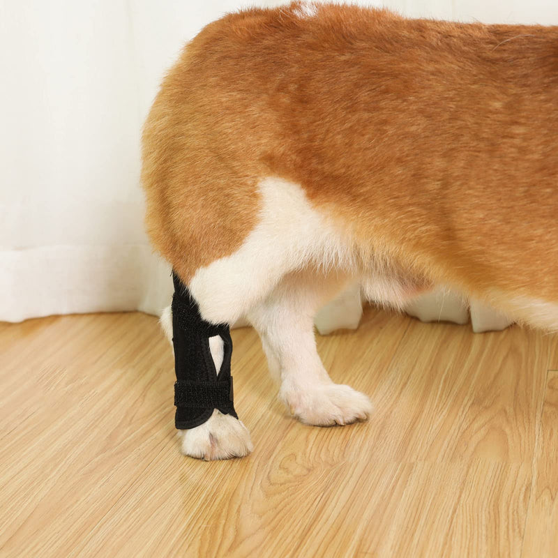 Dog Knee Brace Rear Leg Orthopedic Dog Splint for ACL Patella Dislocation Arthritis Joint Support Fastening Strap Neoprene Elastic Size XL