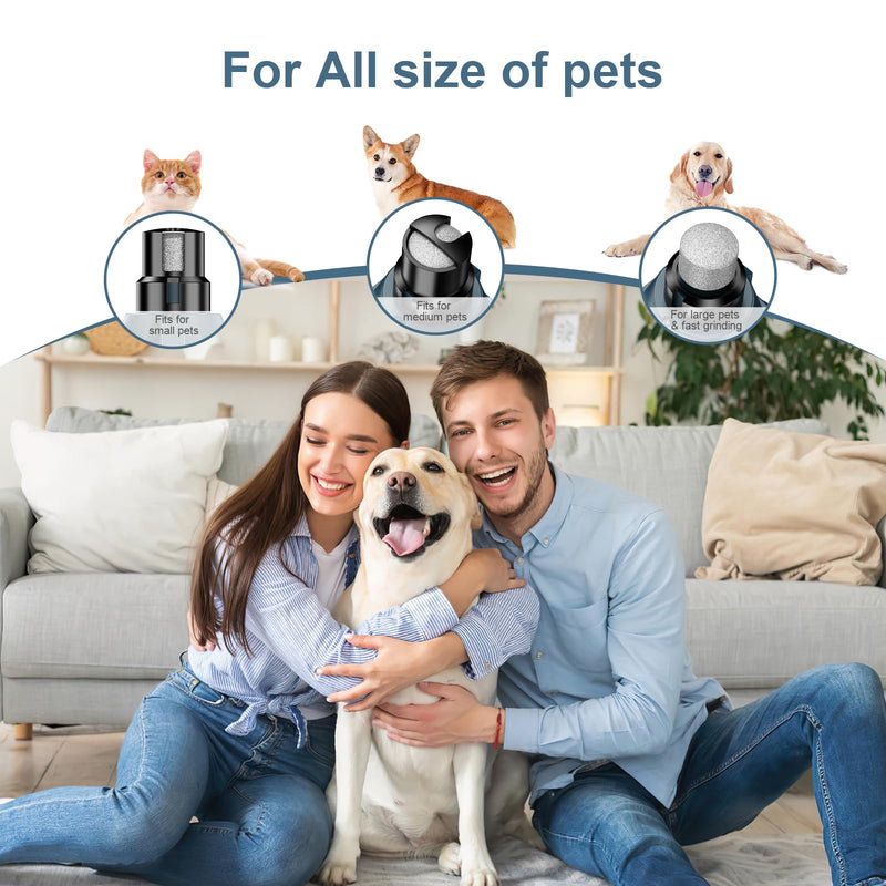 Dog Nail Grinders, Dog Claw Clippers Quiet Rechargeable Electric Dog Nail Trimmer 6-Speed, 3 Types of Nail Polish Port with LED Light for Large Medium Small Dogs - PawsPlanet Australia