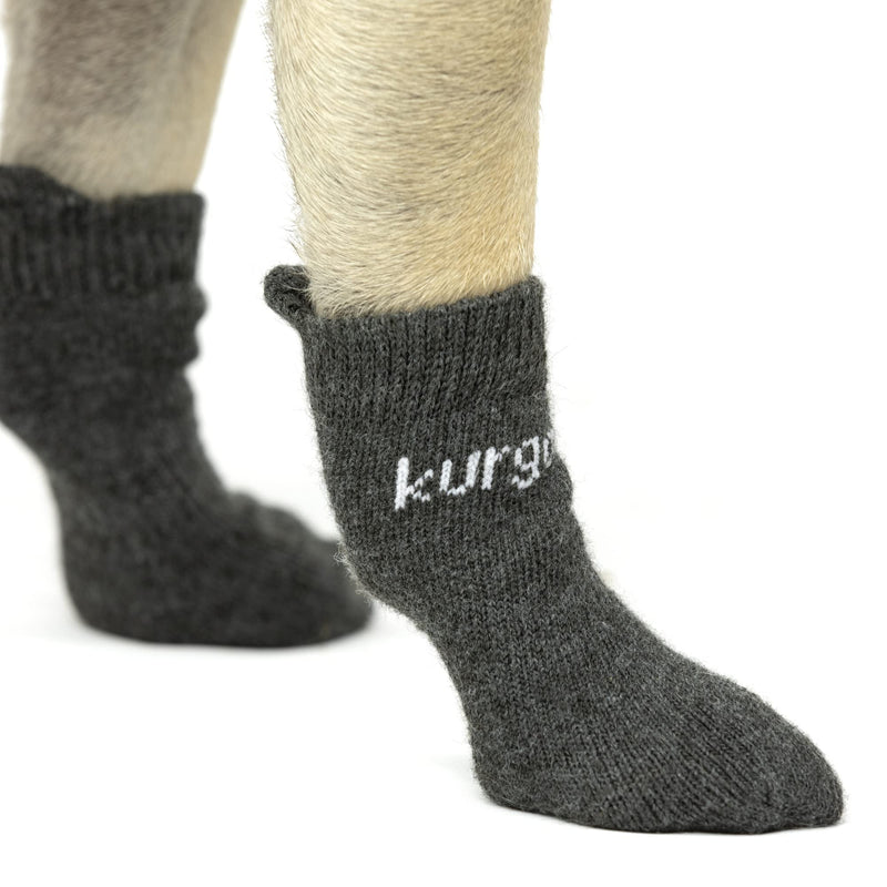 Kurgo Blaze Dog Socks - Stretch Socks for Dog Shoes - Makes Putting On Dog Shoes Easier - Pet Socks for Outdoors - Heel Tab, Fast Drying Fabric, Secure Fit - Medium Blaze Socks 4 Count