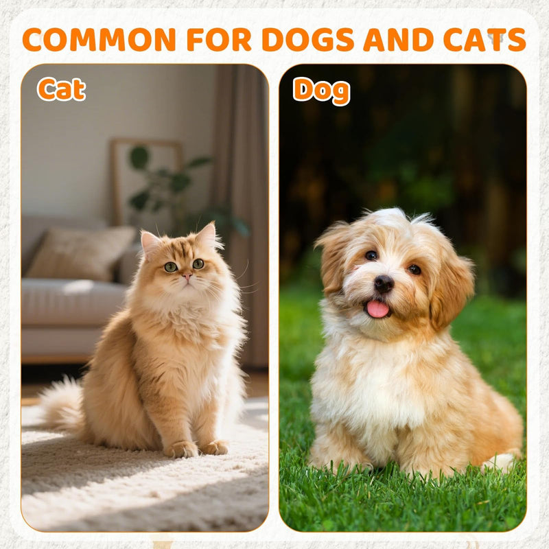 Cat Collar, Pack of 4 Sunflower Soft Protection Yellow, Orange, Pink and Blue Protective Collar, Breathable Adjustable Anti Bite Cat Collar for Cats, Puppies and Small Dogs