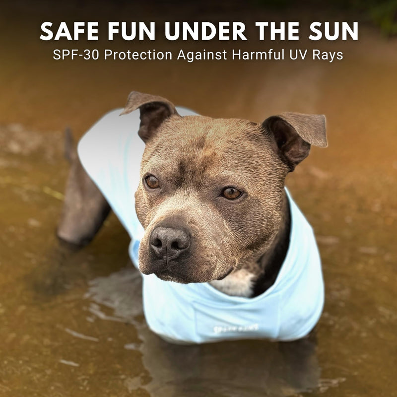 Spark Paws Sunblock Dog T-Shirt, SPF30 Protection, Lightweight Breathable Quick Dry for Dogs with Sensitive Skin - Blue & Grey (Set of 2) - 3XL 3XL: 60-80lbs - PawsPlanet Australia