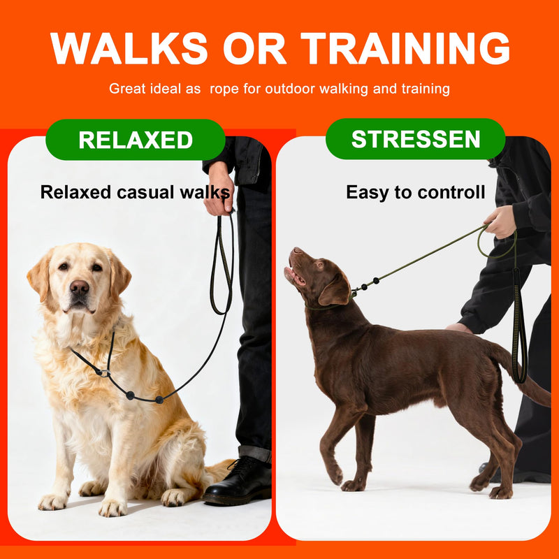 Slip Leads for Dogs,Top Speed Training Dog Leash,2-in-1 Slip Collar Dog Training Lead & Collar,6ft Thin Slip Lead,sturdyand Durable, Leash Suitable for Small, Medium, and Large Dogs(Black) BLACK Training(6FT*1.8M） - PawsPlanet Australia