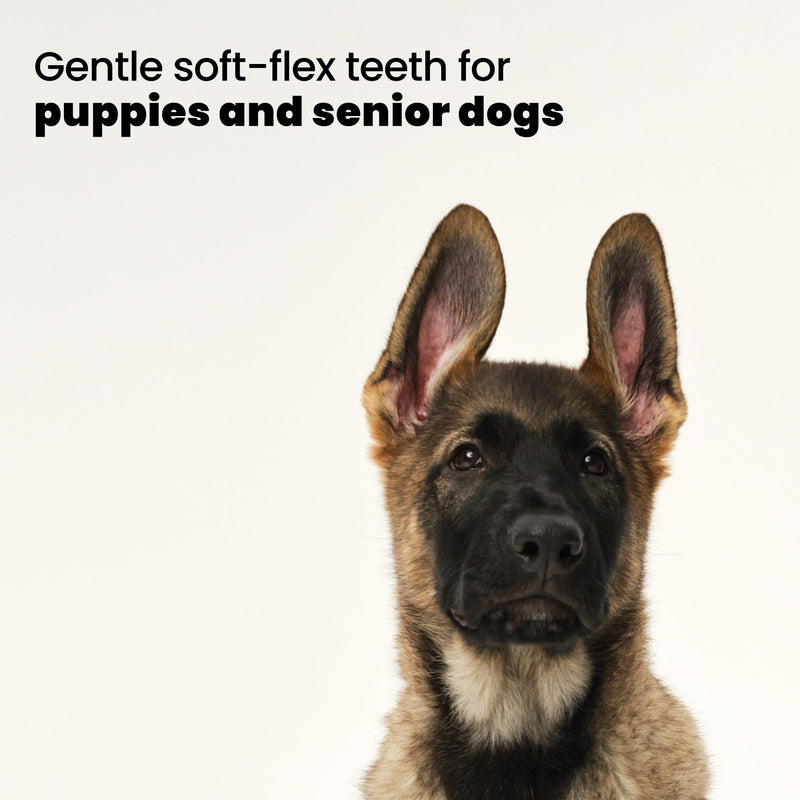 Tangle Teezer | Pet Teezer | Puppy Grooming Brush | Short, Medium Hair | Soft Bristles to Detangle Knots | Lilac