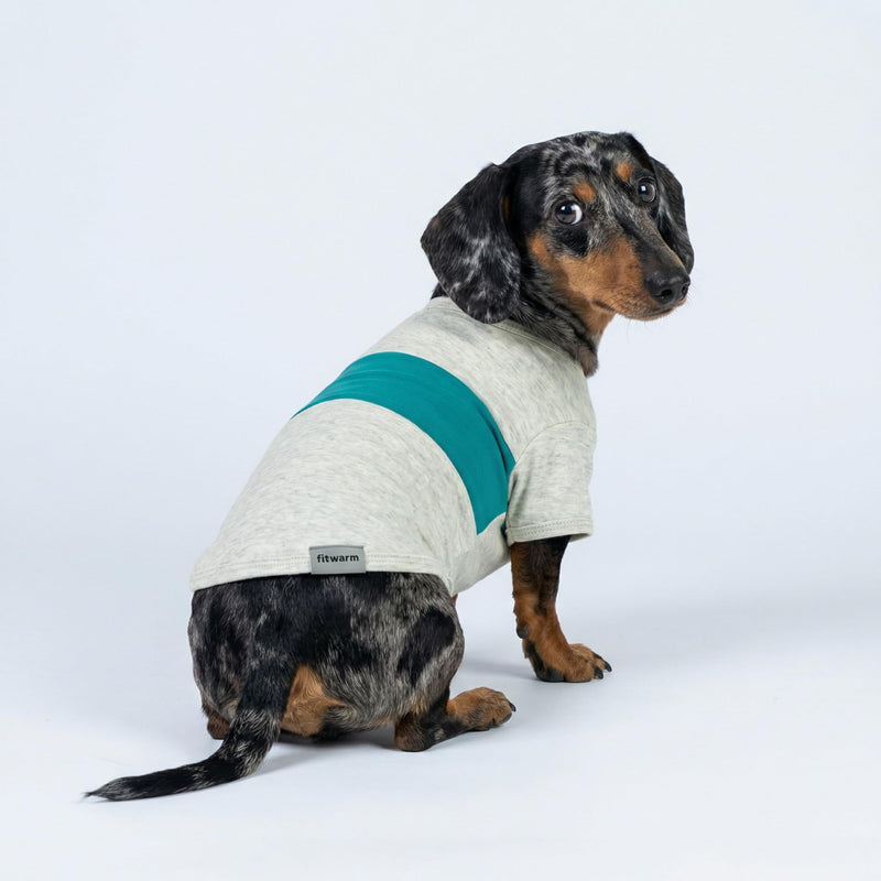 Fitwarm 3 Pack Color Block Striped Dog Shirt, Summer Dog Clothes for Small Dogs, Breathable Lightweight Pet Tshirt with Sleeves, Cat Outfit, Royal Blue, Gray, Teal, Medium RoyalBlue-Gray-Teal - PawsPlanet Australia