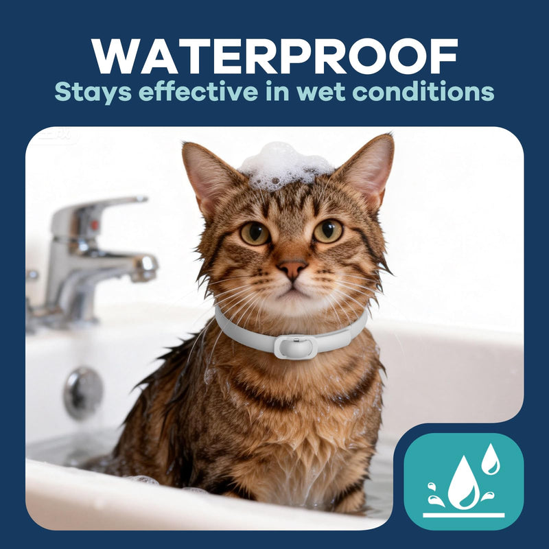 Flea and Tick Collar for Cats 5 Pack, 8 Months Protection, Plant-Based Ingredients, Water-Resistant, Adjustable & Lightweight, Suitable for Adult Cats & Kittens, White