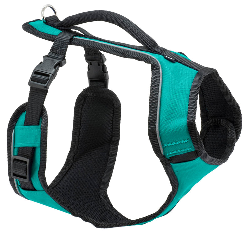 PetSafe EasySport Harness – Padded Straps – Fully Adjustable — Elastic Neckline — Best for Athletic Dogs – Top Handle for Quick Control - Large - Teal