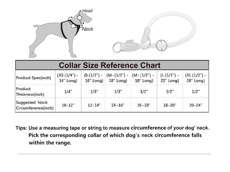 Braided Collar, Pro Training Dog Collar, No Pull Round Collar, Slip Collar with Slidable Stop Ring - Ideal for Small Medium Dogs (M- (1/3") - 18" Long, Light Blue) M- (1/3") - 18" Long - PawsPlanet Australia
