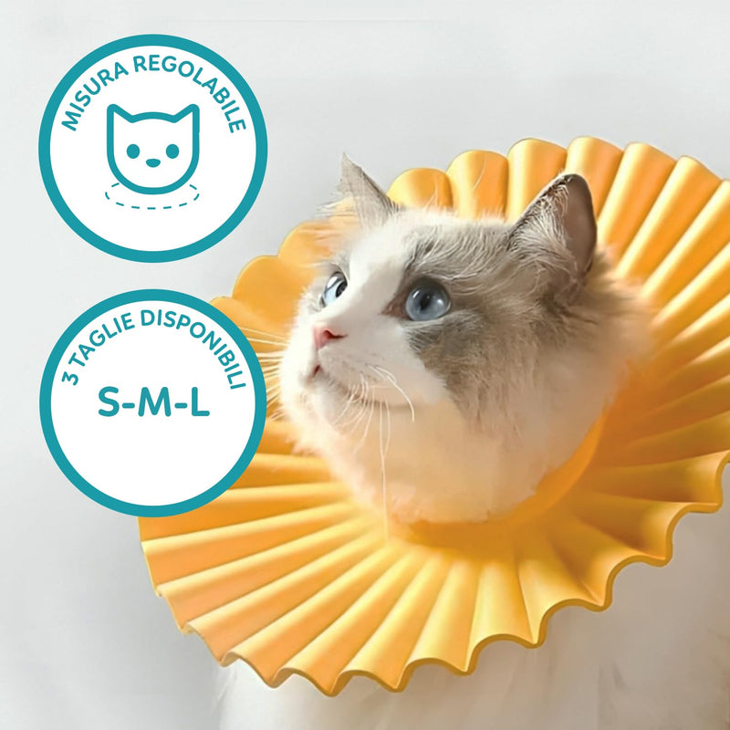 AQPET - Soft Elizabethan Collar for Cats, Lightweight and Flexible Plastic, Adjustable, Double Layer Design, Ideal for Post-Operative Recovery and Wound Protection - Orange, Large