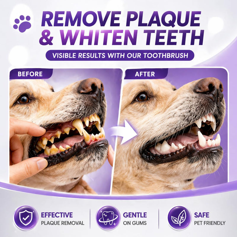 Premium Dog Oral Care Kit + Dog Toothbrush – Newly Upgraded Dual-Head Design