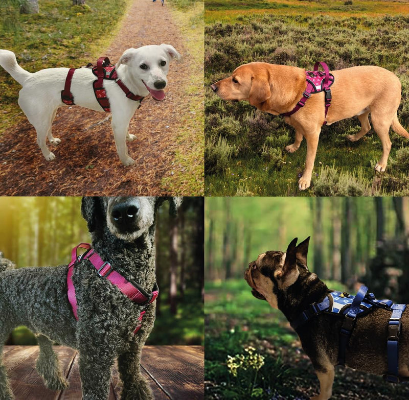 Anti-Escape Dog Harness. Adjustable No Pull, Reflective, Breathable, Padded. Ideal for Puppy Essentials. Small to XL Breeds, Perfect Collars, Harnesses & Leads for Dogs. (Blue, Small) Blue