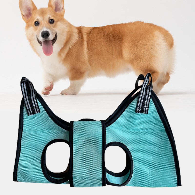 Compact pet grooming accessories: Comfortable and safe for trimming claws and bathing kittens and puppies.