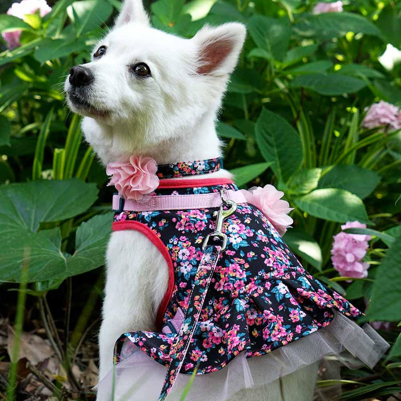 Blueberry Pet Durable Made Well Elegant Floral Print Dog Leash with Lace in Sleek Black, 5 ft x 5/8", Small, Leashes for Dogs Small (Pack of 1)