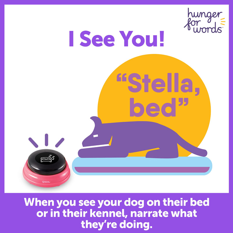 Hunger For Words Talking Pet Next Words Locations - 3 Piece Set of Recordable Speech Buttons for Dogs, Dog Buttons for Communication - PawsPlanet Australia