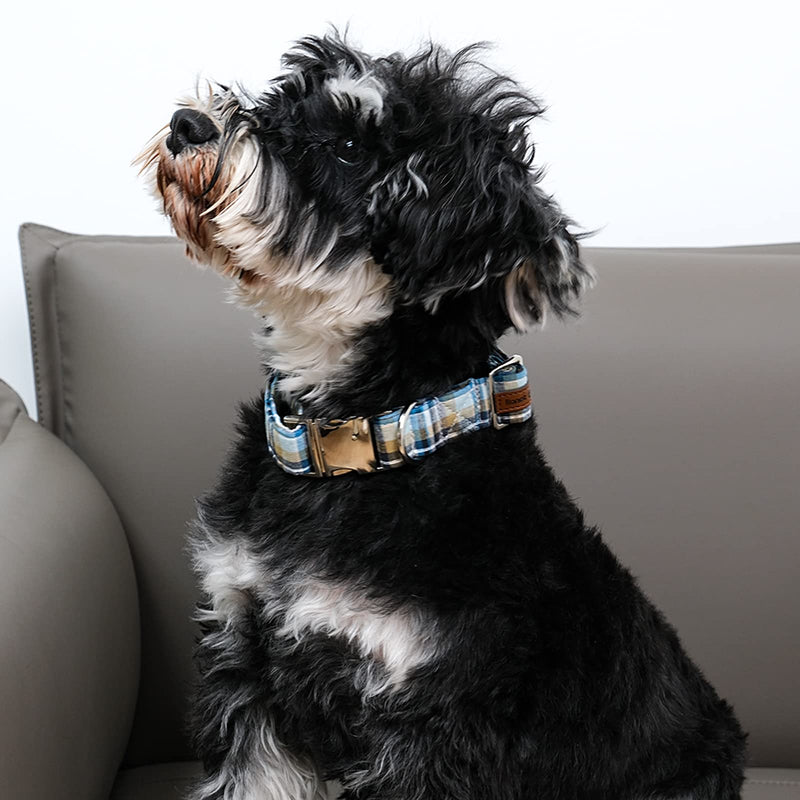 Lionet Paws Boy Dog Collar, Comfortable Adjustable Cute Blue Plaid Collar with Metal Buckle for Male Dogs, Small, Neck 10-16 inches Small (Pack of 1) LightBlue