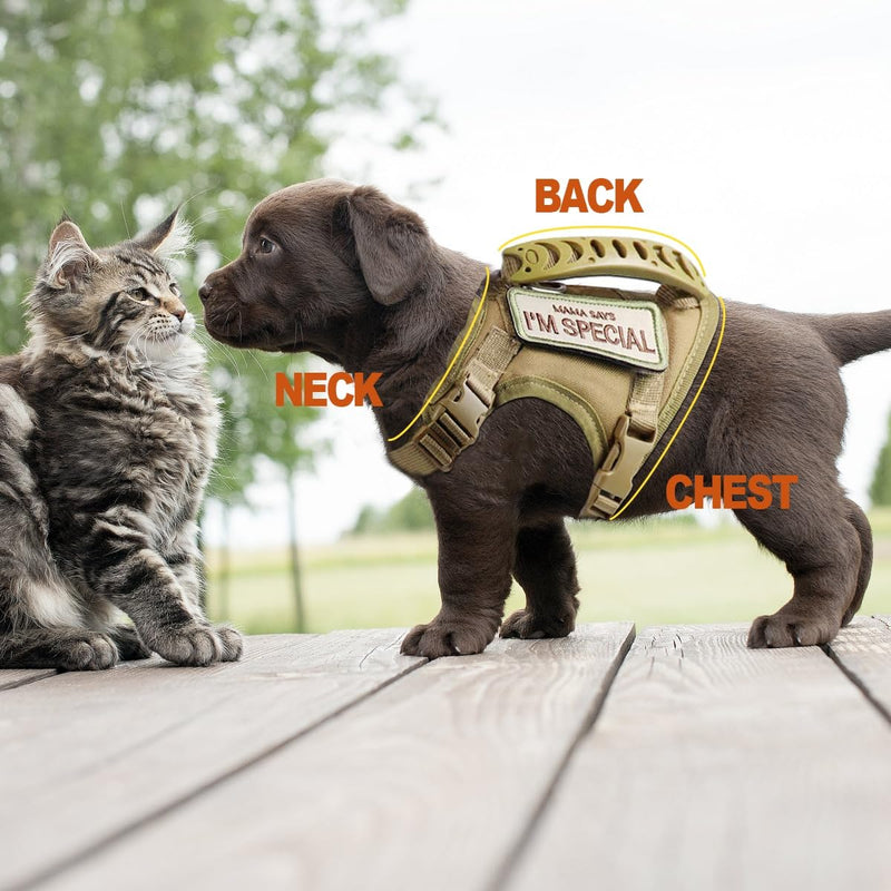 AIWAI Tactical Cat Harness for Walking Escape Proof, Adjustable Pet Vest Harness, Soft Mesh with Control Handle for Large Cat Small Dog, Gift with Patch (Camouflage, cat Harness and Leash Set) One Size - Harness and Leash Set Camouflage