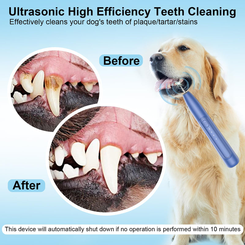 Ultrasonic Dog Plaque Remover Tool, 3 Modes Plaque and Tartar Remover for Dogs, Low Noise Sonic Dog Tartar Remover Dogs Plaque Remover with Toothbrush 2 Cleaning Head for Pet Dental Care, Blue JY09 - PawsPlanet Australia