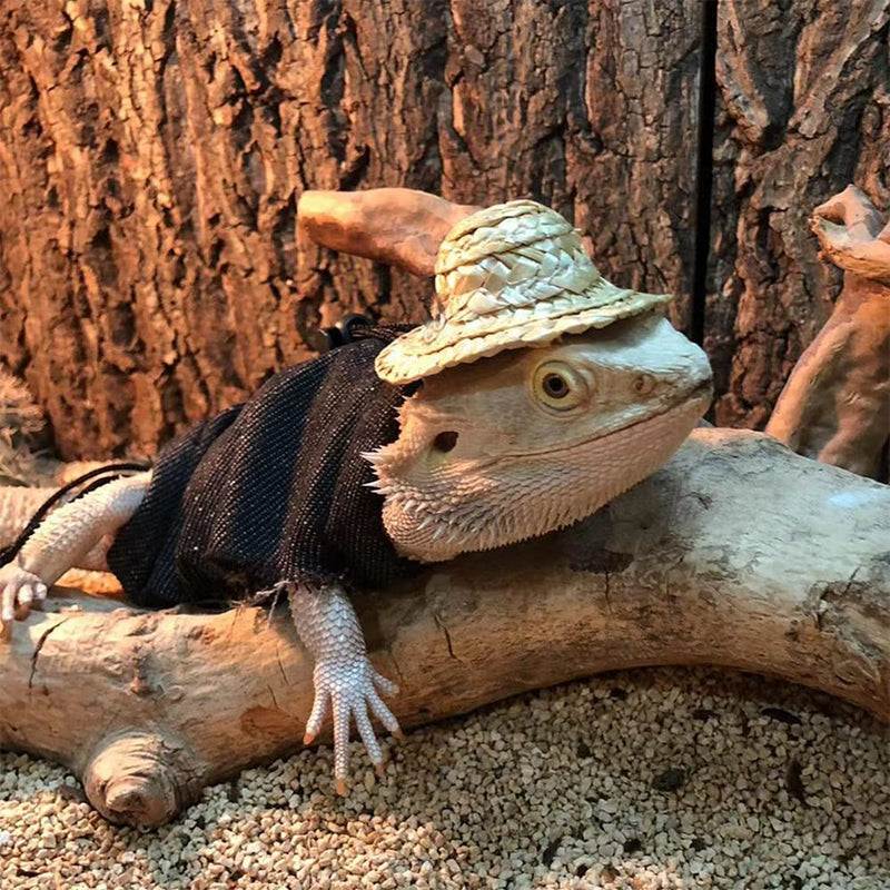 4 Pack Lizard Clothes for Bearded Dragons Straw Hat Set Reptile Apparel Handmade Sleeveless T-Shirt Vest Skin Protection Photo Party for Lizard Bearded Dragon Crested Gecko Chameleon (L, 4 Pack Set) L - PawsPlanet Australia