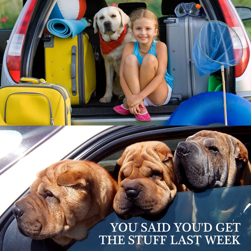 4 Pack Adjustable Pet Dog Cat Seat Belt, YuCool Safety Leads Vehicle Car Harness Seat Tether,Nylon Fabric- Black,Blue, Red, Purple - PawsPlanet Australia