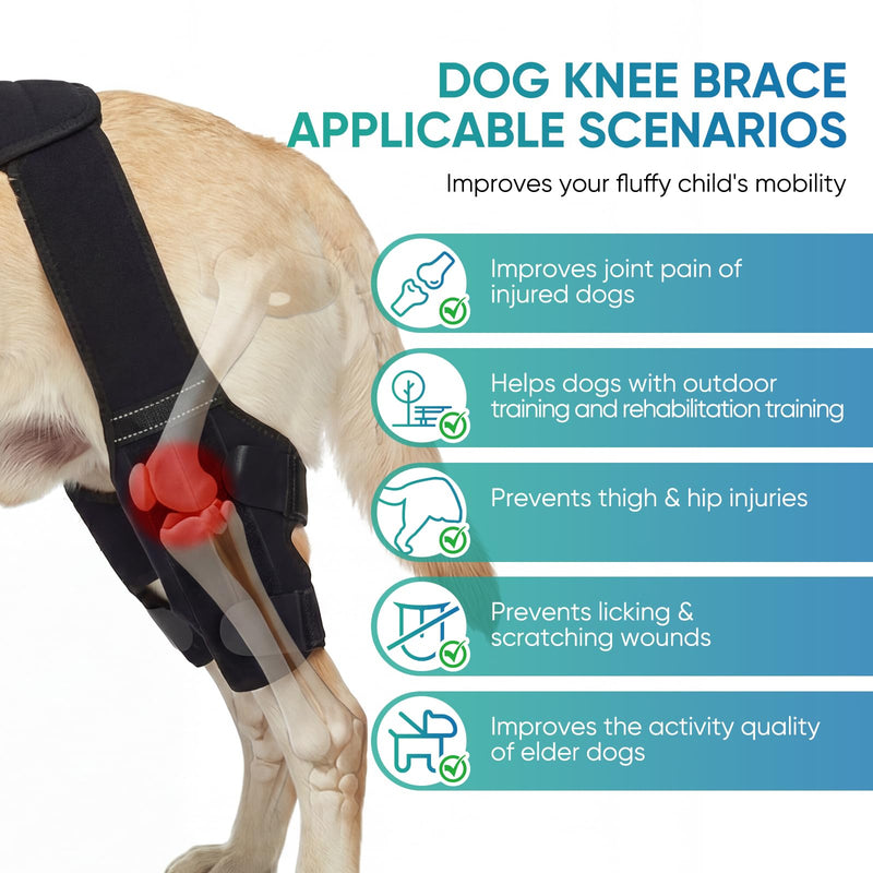 Dog Knee Brace for Back Leg Hind Leg ACL Dog Brace Support Adjustable Double Dog Leg Brace with Stabilizers, Helps with Torn CCL, Luxating Patella, Ligament Injuries,L L Black 1