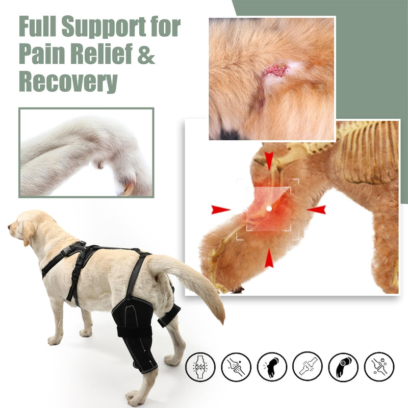Dog Knee Brace for Torn Acl Hind Leg for Support with Cruciate Ligament Injury, luxating Patella,Arthritis,Dog Acl Knee Brace with Metal Splint Hinged Support for CCL Luxating Patella XL Rear Left Leg Brace