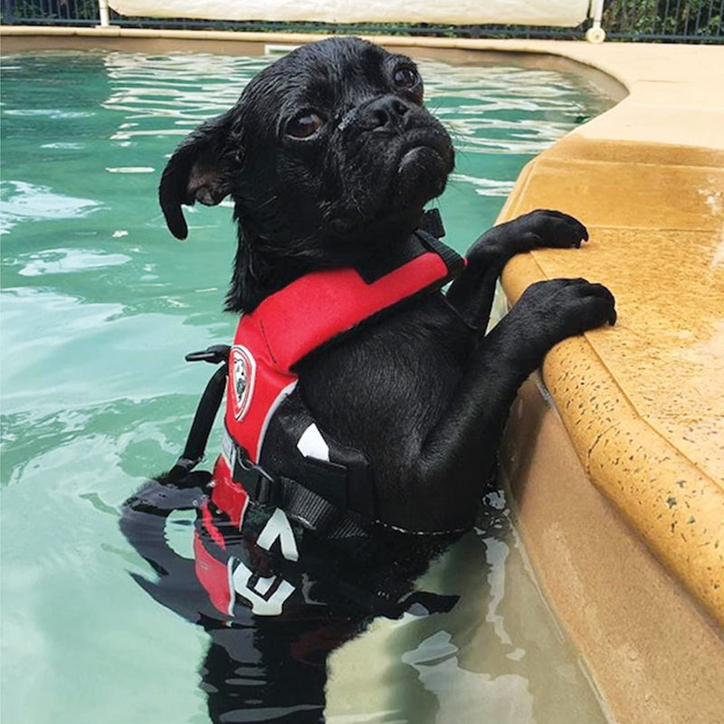 EzyDog Micro Doggy Flotation Device (DFD) XS (Length 10"-13-1/2", Girth 12"-19-1/2") Red - PawsPlanet Australia