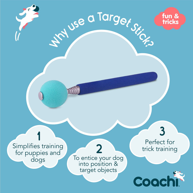 Company of Animals Coachi Target Stick, Telescopic Design with Large Ball for Target, Dog Accessory for Clicker & Agility Training, Teach Commands and Tricks New Model - PawsPlanet Australia