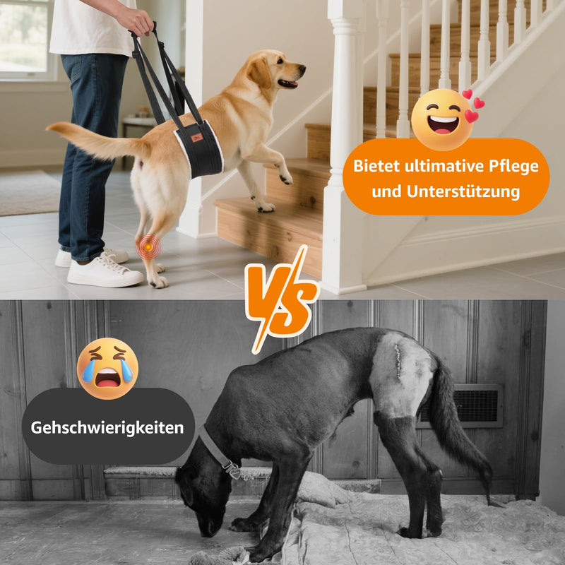 Dog Harness Dog Carrier Adjustable Walking Aid Dog Stairs Dog Rear Lift Support Harness Small, Medium and Large Dog Rehabilitation Carry Strap for Spinal Cord Infarction Osteoarthritis L