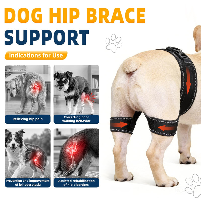 CHAMIN Dog Hip Brace for Hip Dysplasia – Adjustable Support Harness for Dogs, Relieves Joint Pain & Arthritis, Stabilizes Back Legs, Prevents Hip Issues, Orthopedic Support(L) Large