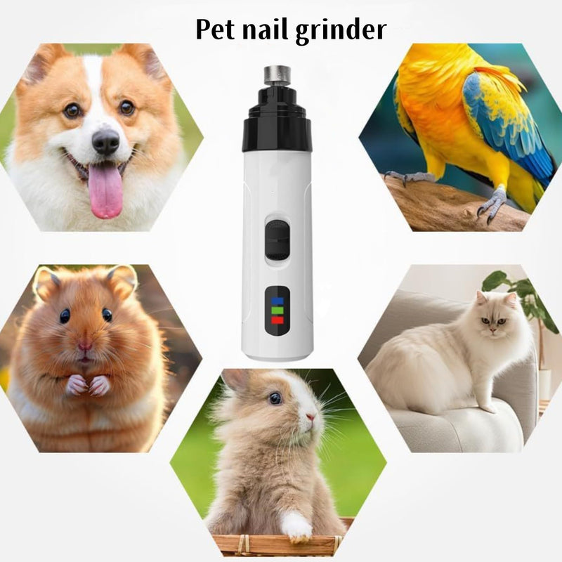 Silent Groom Pro Nail Grinder, 2025 New Dog Nail Trimmer, USB Rechargeable Pet Nail Grinder, Dog Nail Trimmers, Electric Dog Nail Clippers (1+2*Replacement Head) - PawsPlanet Australia