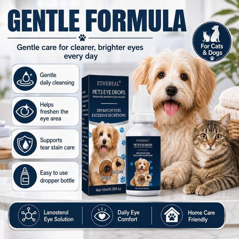 Cataract Drops for Dogs, Dog Eye Drops, Effective Dog Eye Infection Treatment Dog Eye Cleaner Cataract Eye Drops, Improve Vision Clarity, Relieve Red Eyes & Allergy Symptoms(2 x 10 mL)