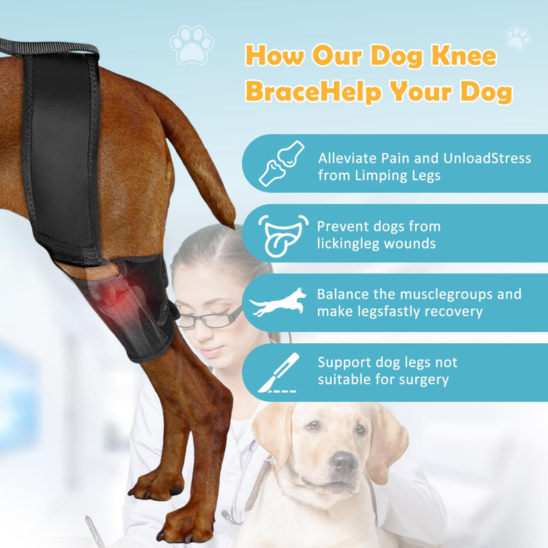 Dog Knee Brace for Torn ACL Hind Leg， Supports Large and Small Dogs with CCL, Cruciate Ligament Injury, Osteoarthritis Relief, Enhances Mobility and Better Recovery (M) Medium - PawsPlanet Australia